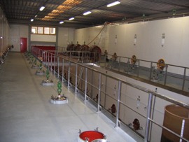 cantina2
