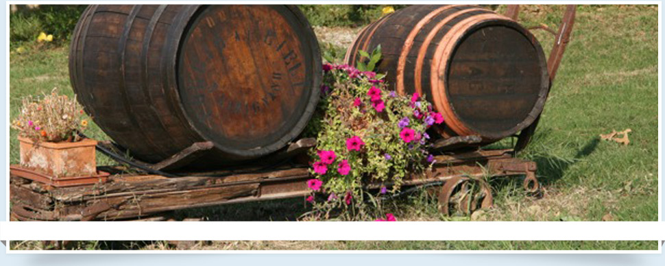 Agriturismo campagna Toscana, vacanze Siena